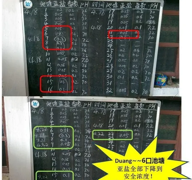 【厂家测评】海联科底倍康大塘实际应用效果验证