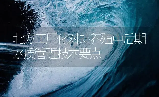 北方工厂化对虾养殖中后期水质管理技术要点 | 海水养殖