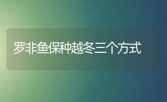 罗非鱼保种越冬三个方式 | 淡水养殖