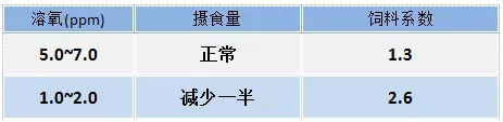 池塘溶氧介绍及预防泛池解决方案