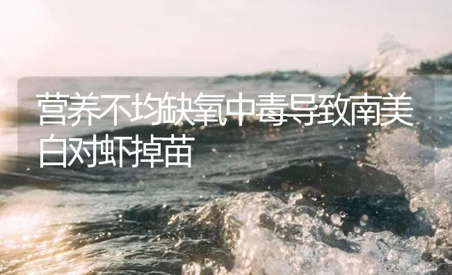 营养不均缺氧中毒导致南美白对虾掉苗 | 海水养殖