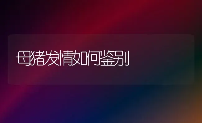 母猪发情如何鉴别 | 家畜养殖