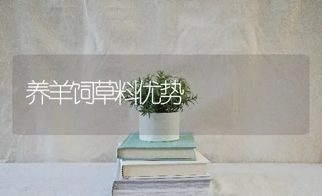 养羊饲草料优势 | 家畜养殖