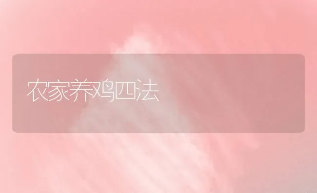 农家养鸡四法 | 家禽养殖
