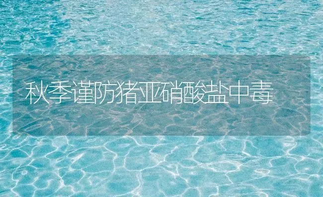 秋季谨防猪亚硝酸盐中毒 | 家畜养殖