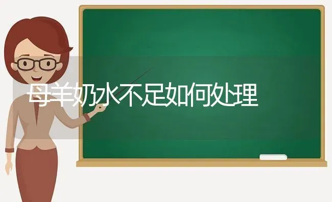 母羊奶水不足如何处理 | 家畜养殖