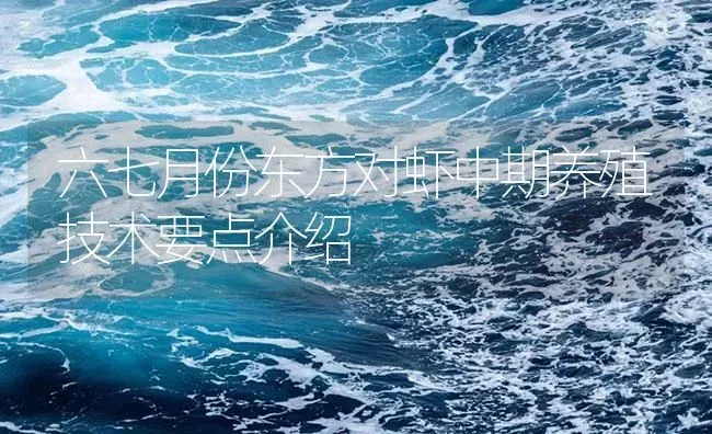 六七月份东方对虾中期养殖技术要点介绍 | 海水养殖