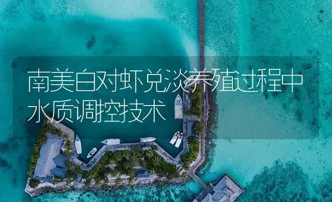 南美白对虾兑淡养殖过程中水质调控技术 | 海水养殖