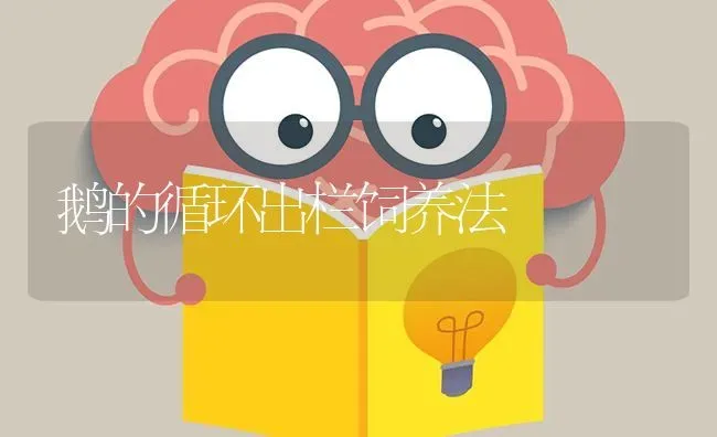 鹅的循环出栏饲养法 | 家禽养殖