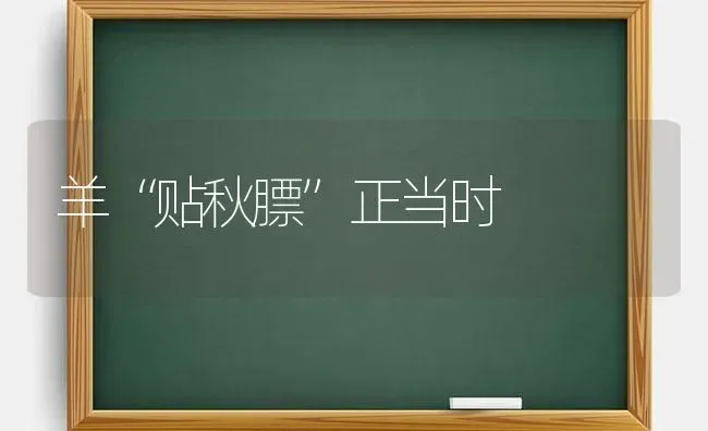 羊“贴秋膘”正当时 | 家畜养殖