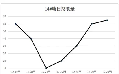 南美白对虾应激性肠炎处理案例