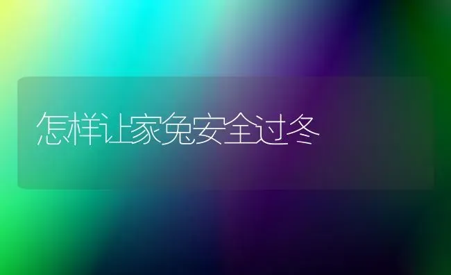 怎样让家兔安全过冬 | 家畜养殖