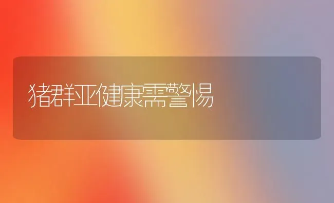 猪群亚健康需警惕 | 家畜养殖