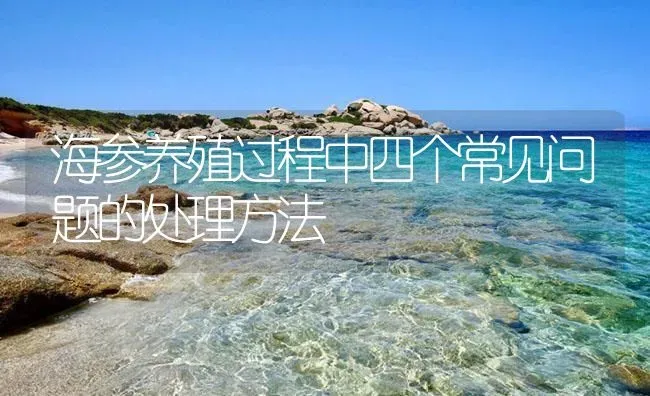 海参养殖过程中四个常见问题的处理方法 | 海水养殖