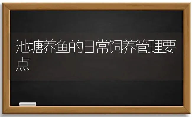 池塘养鱼的日常饲养管理要点 | 淡水养殖