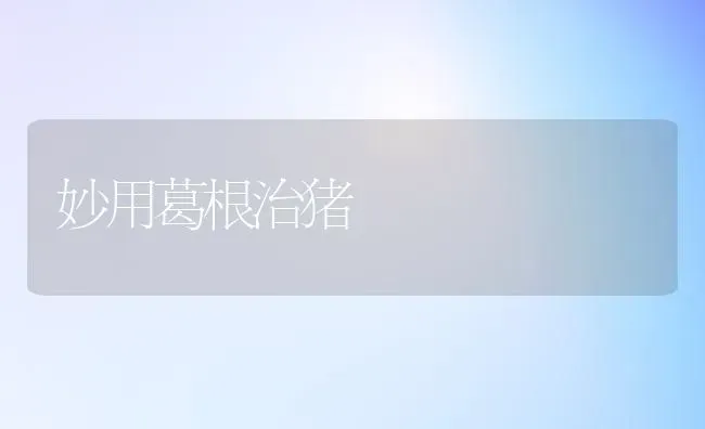 妙用葛根治猪 | 家畜养殖