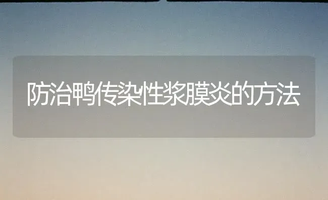 防治鸭传染性浆膜炎的方法 | 家禽养殖