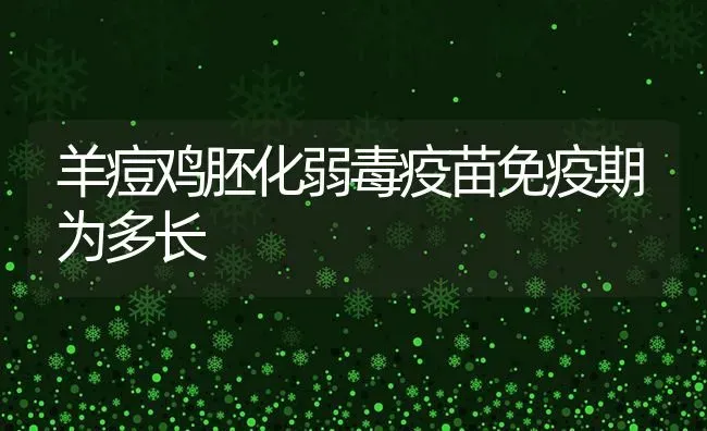 羊痘鸡胚化弱毒疫苗免疫期为多长 | 家畜养殖