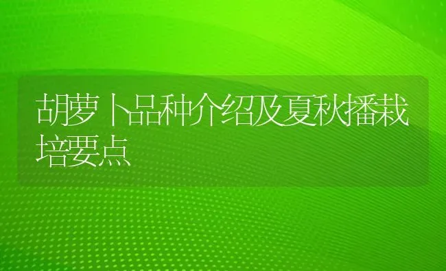 胡萝卜品种介绍及夏秋播栽培要点 | 淡水养殖