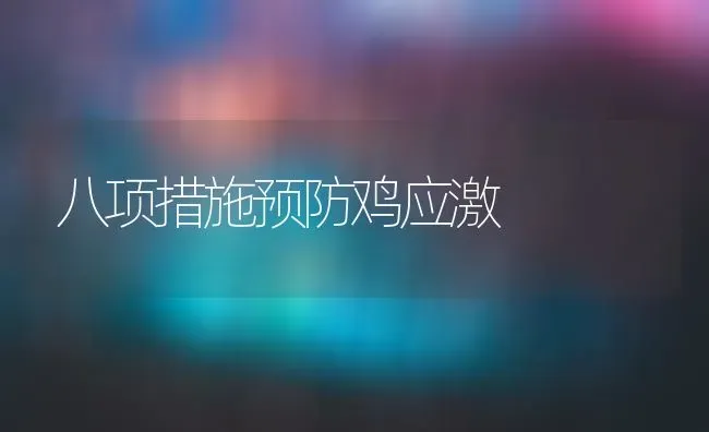 八项措施预防鸡应激 | 家禽养殖