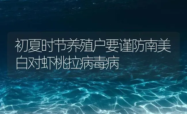 初夏时节养殖户要谨防南美白对虾桃拉病毒病 | 海水养殖