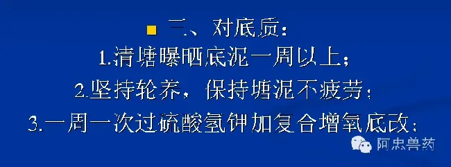 笋壳鱼养殖户如何造就三年不发病？