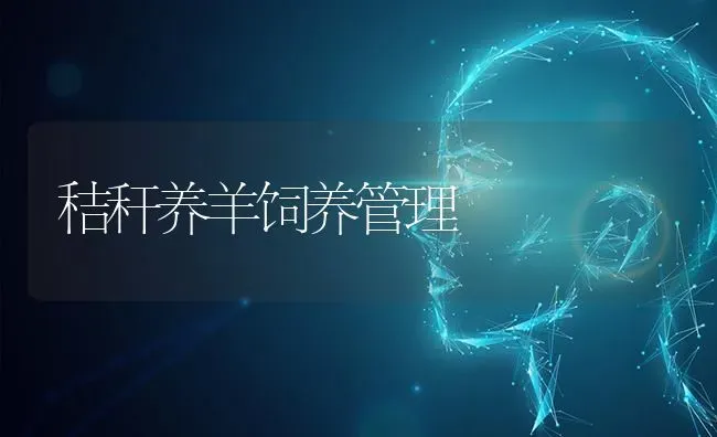 秸秆养羊饲养管理 | 家畜养殖