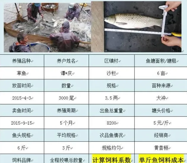 海大饲料在广东珠海地区养殖效益展示