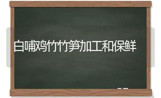 白哺鸡竹竹笋加工和保鲜 | 家禽养殖