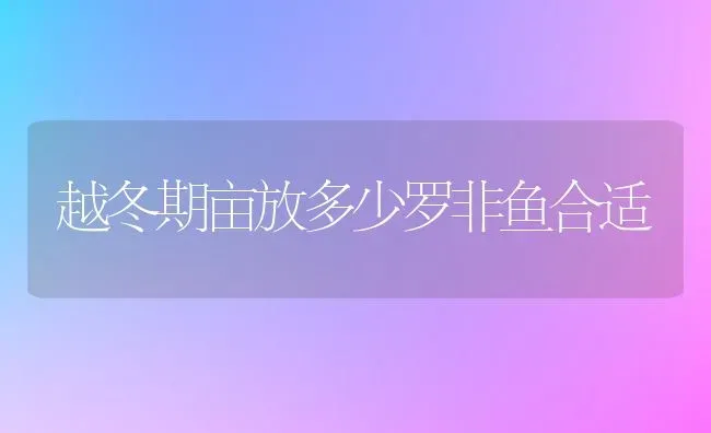 越冬期亩放多少罗非鱼合适 | 淡水养殖