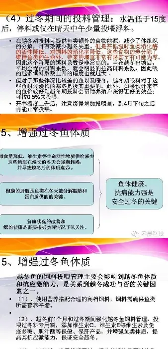 应对“春季斑点叉尾鮰爆发性死亡”疫情，过冬的技术措施有哪些？