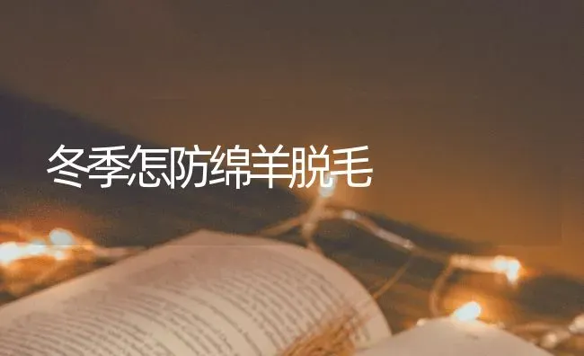 冬季怎防绵羊脱毛 | 家畜养殖