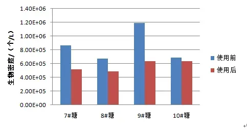 杀藻率达30%，杀虫率约50%的养虾消毒神器是什么？