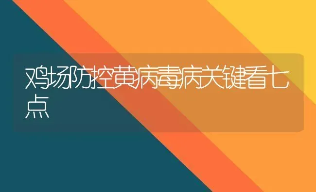 鸡场防控黄病毒病关键看七点 | 家禽养殖