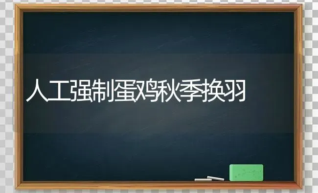 人工强制蛋鸡秋季换羽 | 家禽养殖