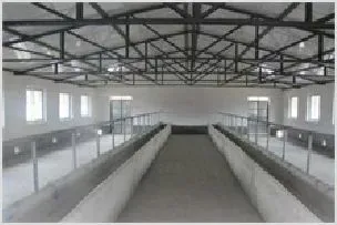 养牛场建设 | 动物养殖资料
