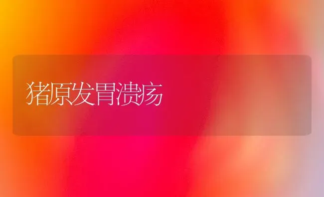 猪原发胃溃疡 | 家畜养殖