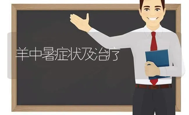 羊中暑症状及治疗 | 家畜养殖