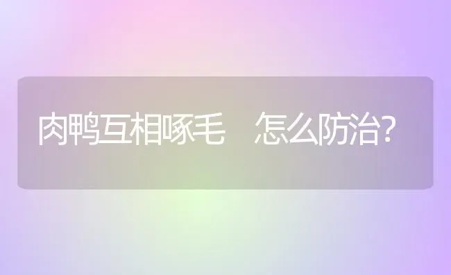 肉鸭互相啄毛 怎么防治？ | 家禽养殖