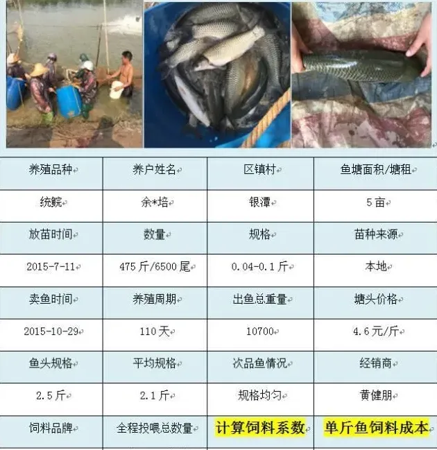 海大饲料在广东珠海地区养殖效益展示