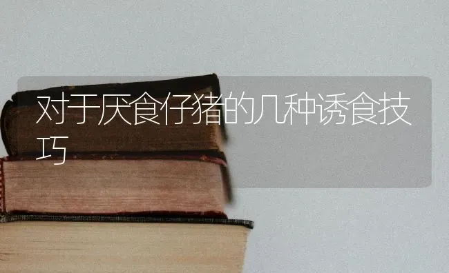 对于厌食仔猪的几种诱食技巧 | 家畜养殖