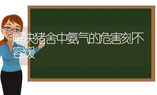 解决猪舍中氨气的危害刻不容缓 | 家畜养殖