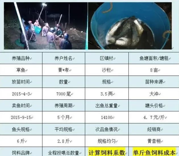 海大饲料在广东珠海地区养殖效益展示