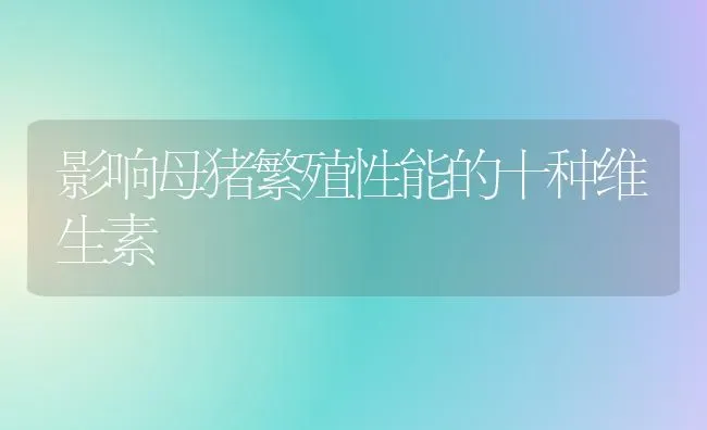 影响母猪繁殖性能的十种维生素 | 家畜养殖