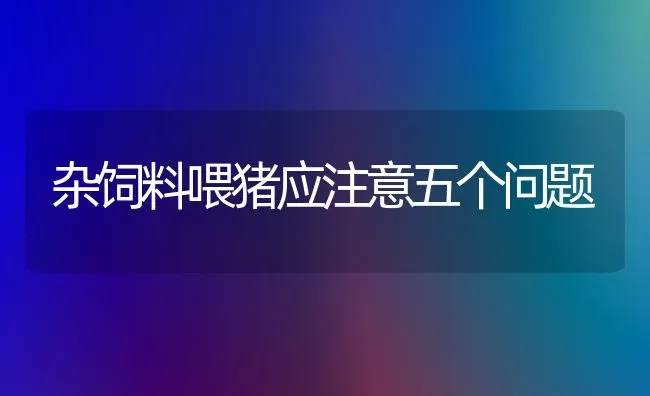 杂饲料喂猪应注意五个问题 | 家畜养殖