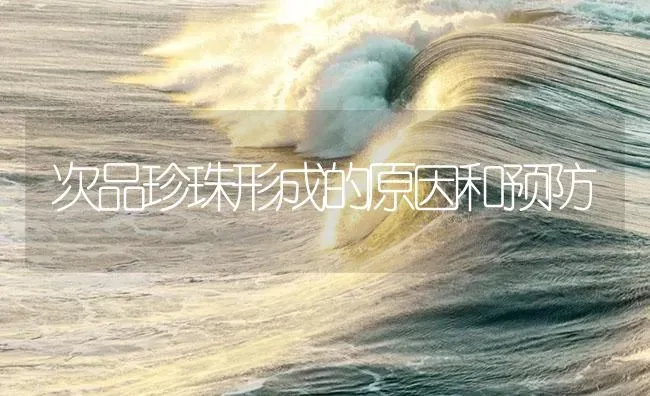 次品珍珠形成的原因和预防 | 海水养殖