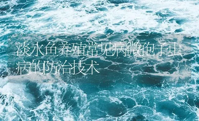 淡水鱼养殖常见病微孢子虫病的防治技术 | 养殖病虫害防治