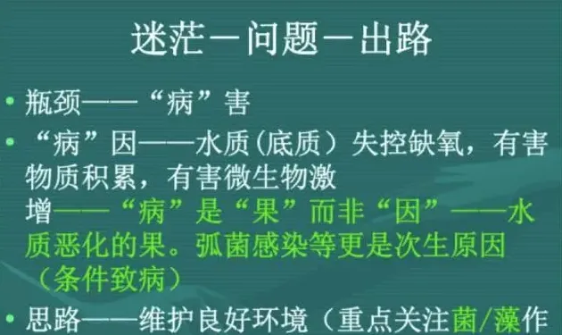 杜国平关于南美白对虾塘水质管理的课件分享