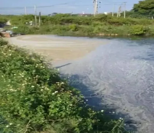 微生物制剂产品“没效果”？养殖户认知不足是主因