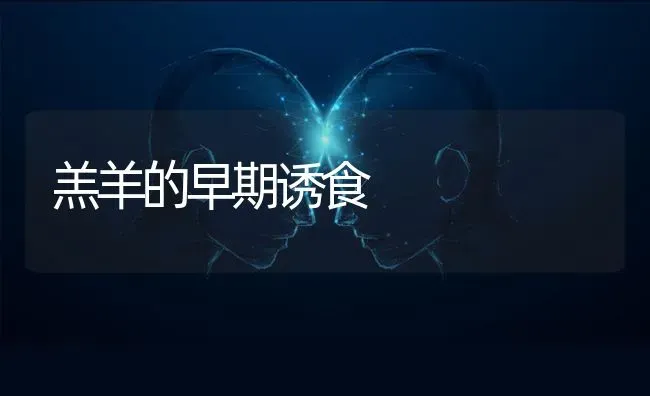 羔羊的早期诱食 | 家畜养殖